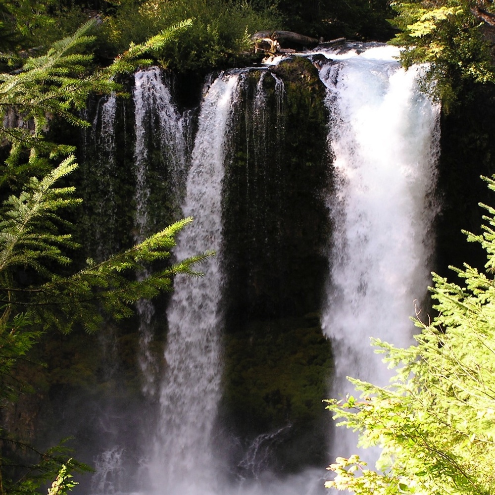 Meet your Posher, Bellalin